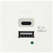Donel USB зарядное устройство, 4.2A , Type A + C, 2 мод., бел. (45х45мм) DUSB4200WCF