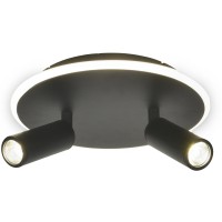 Настенно-потолочный светильник 20046LED 20046SMA/02LED BK