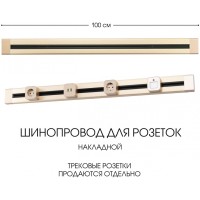 Электроустановочный шинопровод Am-track-sockets 382301TO/100 Gold