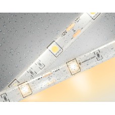 Светодиодная лента Illumination GS1901