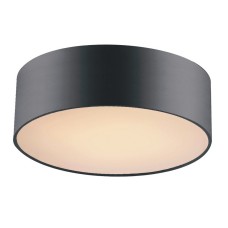 Потолочный светильник Cerchi 1514-2C