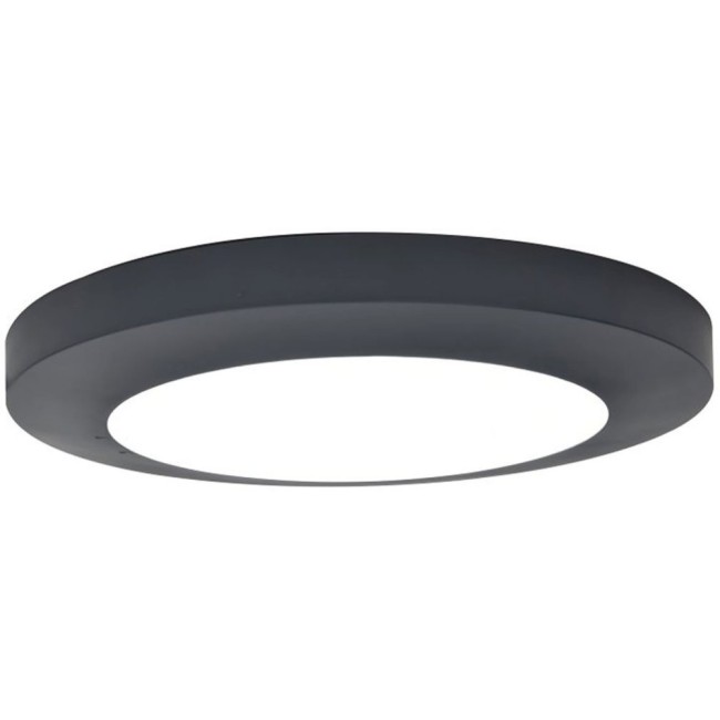 Потолочный светильник уличный SIDNEY LED W3922 Gr
