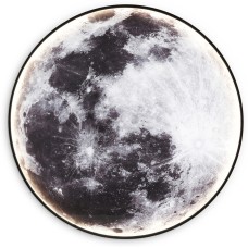 Настенно-потолочный светильник Wallers Wall FW11115