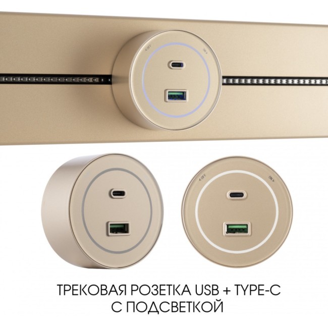 Трековая розетка Am-track-sockets-39 399732TS/USB-Type-C Gold