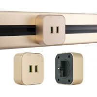 Трековая розетка Am-track-sockets 380022TS/USBx2 Gold