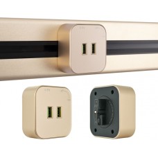 Трековая розетка Am-track-sockets 380022TS/USBx2 Gold