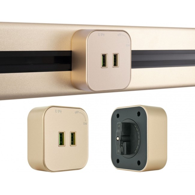 Трековая розетка Am-track-sockets 380022TS/USBx2 Gold