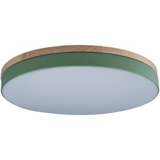 Потолочный светильник Axel 10001/36 Green