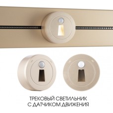 Трековая подсветка Am-track-sockets-39 397953TLS/LWS Gold