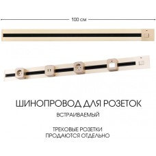 Электроустановочный шинопровод Am-track-sockets 385201TBB/100 Gold