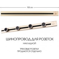 Электроустановочный шинопровод Am-track-sockets 385201TOB/100 Gold