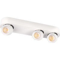 Спот Quiet 10320/3 White