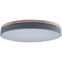 Потолочный светильник Axel 10001/36 Grey