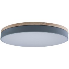 Потолочный светильник Axel 10001/36 Grey
