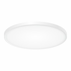 Потолочный светильник Бейсик CL738500V