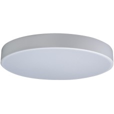 Потолочный светильник Axel 10002/24 White