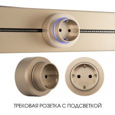 Трековая розетка Am-track-sockets-39 397951TS/ES Gold