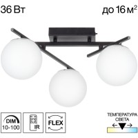 Потолочная люстра Dorsy CL223132