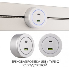 Трековая розетка Am-track-sockets-39 399731TS/USB-Type-C Silver