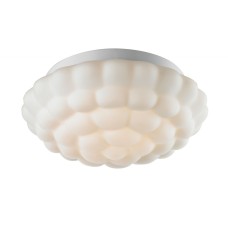 Потолочный светильник Aqua A5130PL-2WH