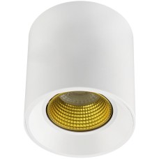 Точечный светильник Rodvig DK3090-WH+YE