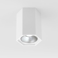 Точечный светильник 25036/LED 25036/LED