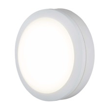 Настенно-потолочный светильник Circle LTB51 белый