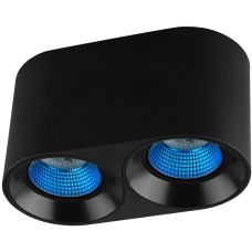 Точечный светильник Rodvig DK3096-BK+CY