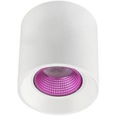 Точечный светильник Rodvig DK3090-WH+PI