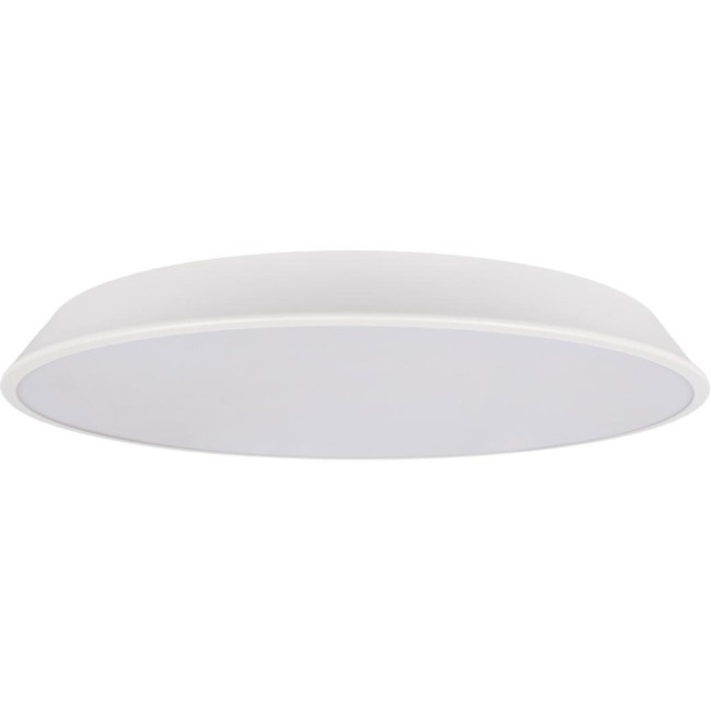 Потолочный светильник Brim 10226 White