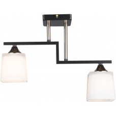 Потолочная люстра MD.5702-2-S-COFFEE+FGD