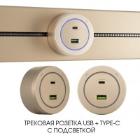 Трековая розетка Am-track-sockets-39 399731TS/USB-Type-C Gold