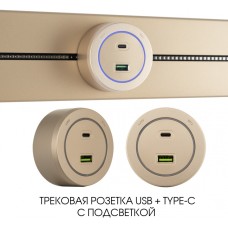 Трековая розетка Am-track-sockets-39 399731TS/USB-Type-C Gold